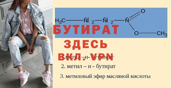 шишки Сосновый Бор