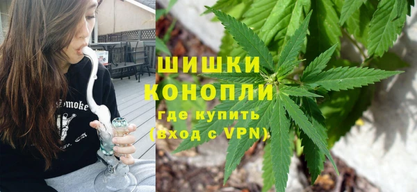 шишки Сосновый Бор