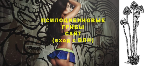 индика Сосновка