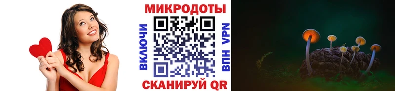 Купить  Полесск  Галлюциногенные грибы прущие грибы 
